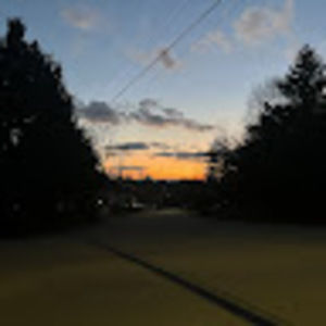 Meet your Posher, Max